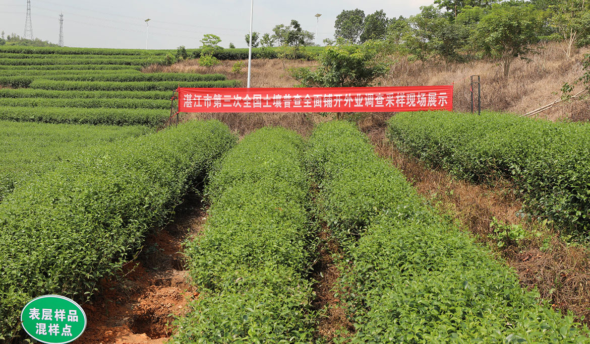 1694077434399162.jpg 未標題-2.jpg