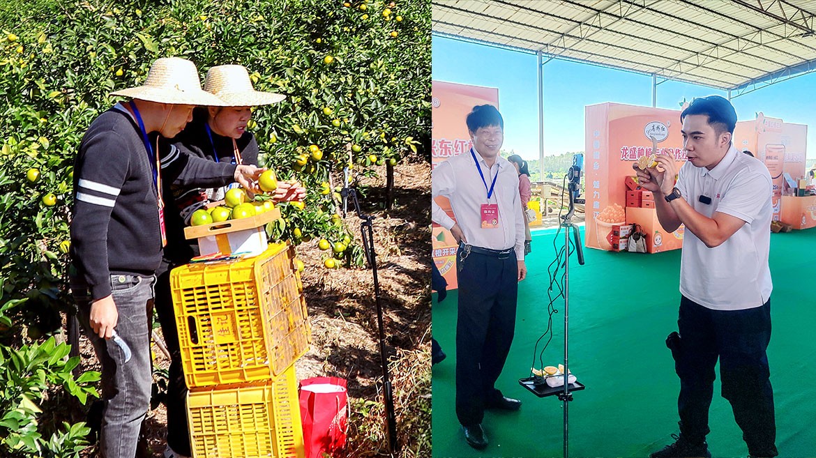 1700474041245711.jpg ZS202311180304.JPG