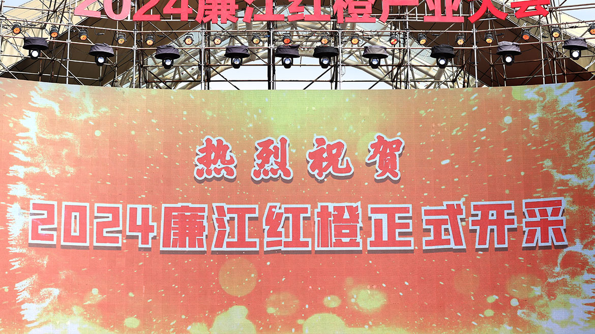 1736151715779133.jpg 5.JPG